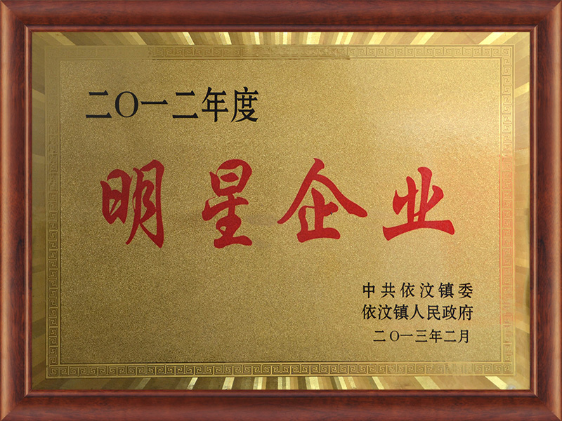 2012年度明星企業 